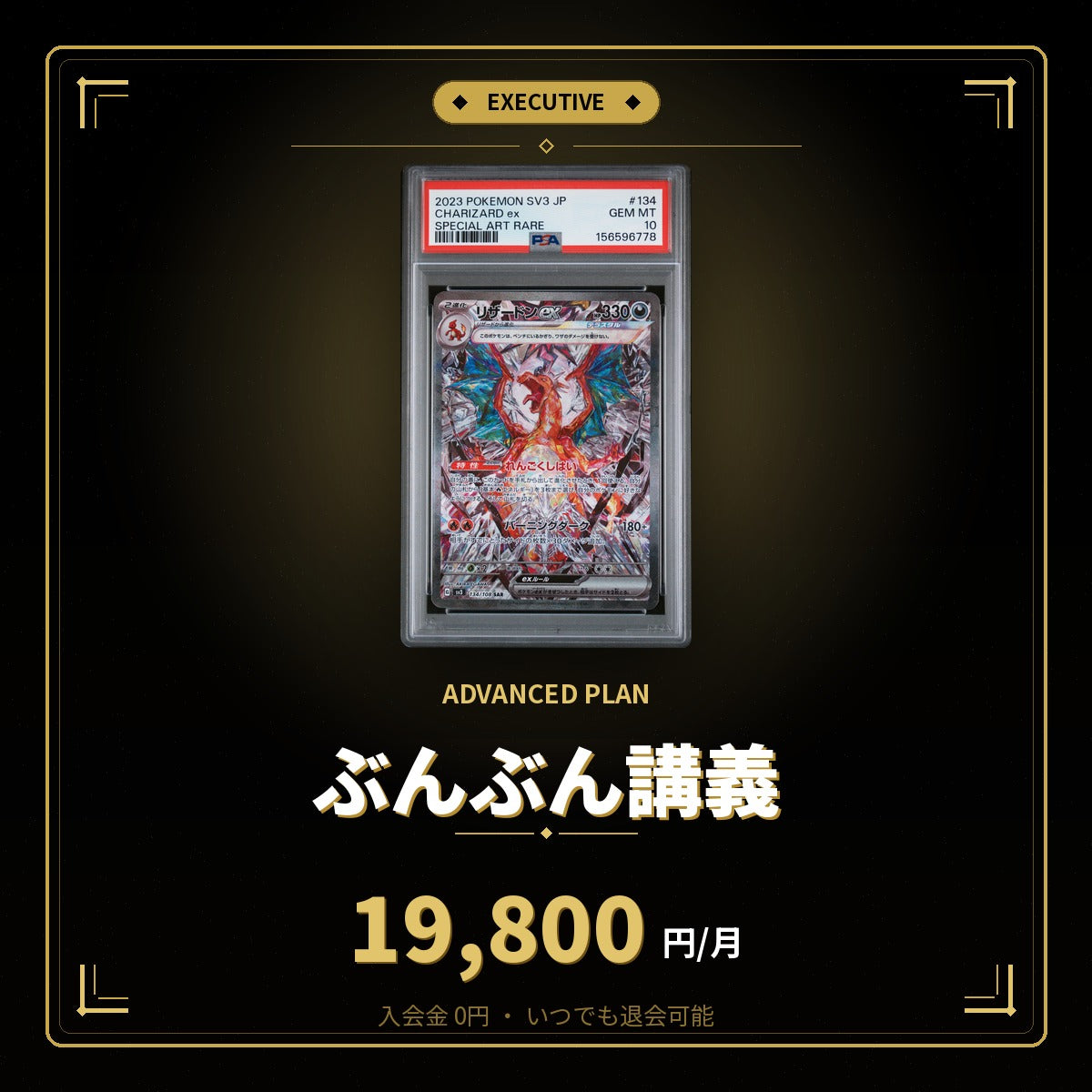 ぶんぶん講義プラン（月額）｜PSA鑑定ノウハウを体系的に学ぶ